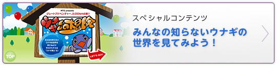 スペシャルコンテンツ　みんなの知らないウナギの世界を見てみよう！ウナギくんの大冒険