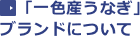 「一色産うなぎ」ブランドについて