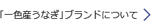 「一色産うなぎ」ブランドについて