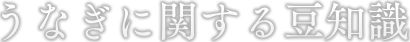 うなぎに関する豆知識